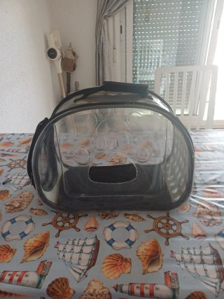 Pack  gato adulto. Raquel 653 63 15 12 terrassa