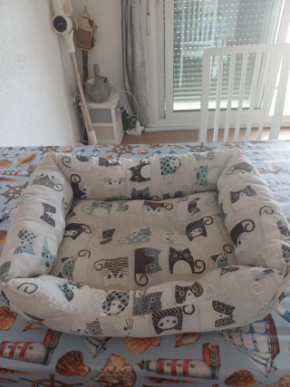 Pack  gato adulto. Raquel 653 63 15 12 terrassa