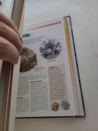 Carpeta Minerales