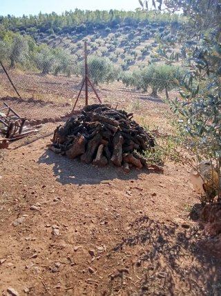 Leña de olivo para chimenea o barbacoa