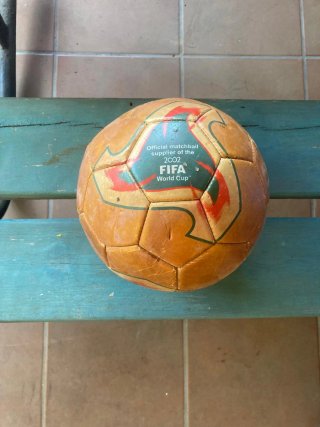 Pelota Mundial FIFA 2002