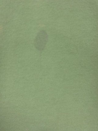 Camiseta Columbia PFG verde menta oversize