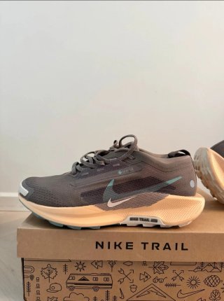 Nike Pegasus Trail 5 GTX Gore-Tex Tg. 42
