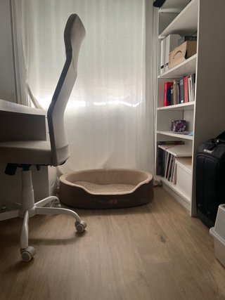 Cama para perro/gato nueva sin usar
