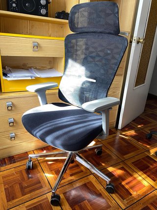 Silla de escritorio ergonómica ajustable Owlotech