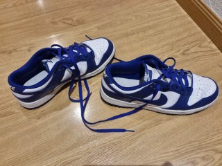 Nike Dunk Low Azul y Blanco Talla 44.5