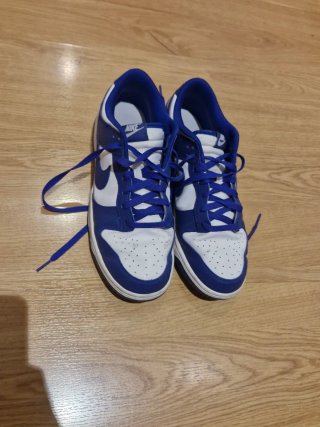 Nike Dunk Low Azul y Blanco Talla 44.5