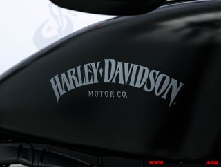 HARLEY-DAVIDSON XL 883 N IRON -A2-