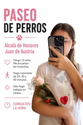 Trabajo de Paseo de Perros
