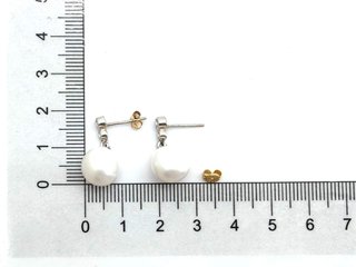 E1810930-36    Pendientes Oro 18k Con Circonita,Pe