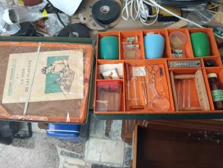 Venta en personaJuego La Vida de las Plantas N 2