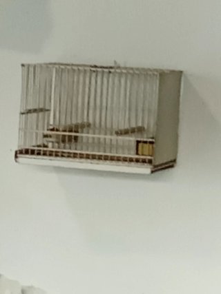 Jaulas de aluminio para canarios