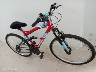 Bicicleta Denbike Flow 26"