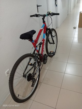 Bicicleta Denbike Flow 26"