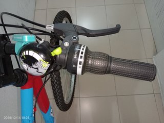 Bicicleta Denbike Flow 26"