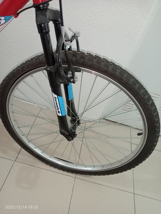 Bicicleta Denbike Flow 26"