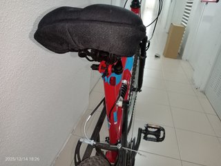 Bicicleta Denbike Flow 26"