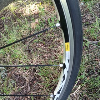 Cannondale Synapse Carbon Talla 48