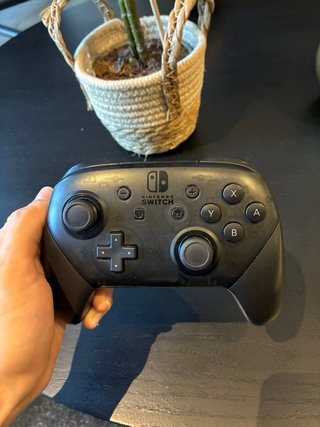Mando Pro Nintendo Switch