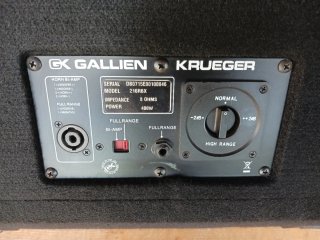 Pantalla Bajo Gallien Krueger 2x10