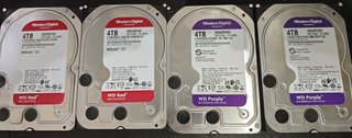 2 Discos duros WD Red 4TB + 2 WD Purple 4TB