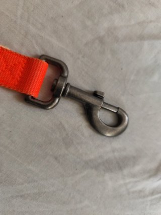 Correa corta para dos perros