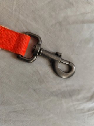Correa corta para dos perros