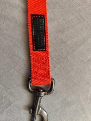 Correa corta para dos perros