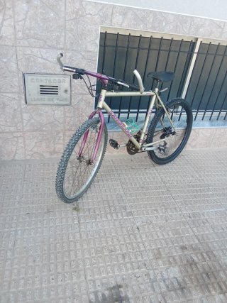 Bicicleta Sanghound Shimano