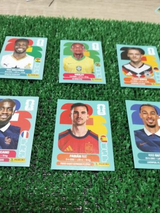 Lote 6 cromos Mundial 2022 difíciles