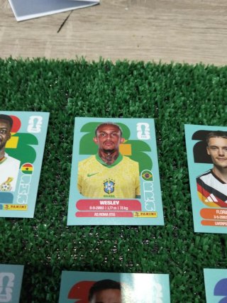 Lote 6 cromos Mundial 2022 difíciles