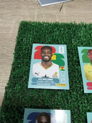 Lote 6 cromos Mundial 2022 difíciles