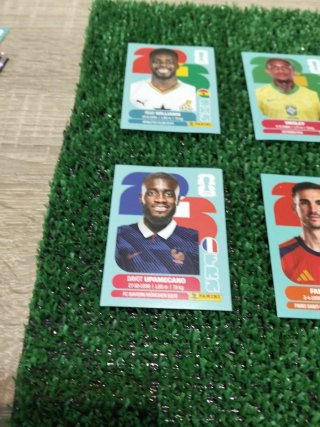 Lote 6 cromos Mundial 2022 difíciles