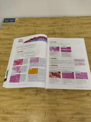 Biologia i Geologia 3r d'ESO LA FQLCP (Edició 2...