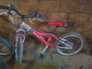 Bicicleta Infantil varias
