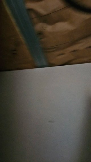 Soy albañil  hago  de todo  cobro por dia