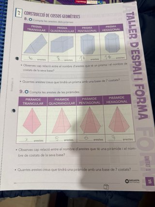 Matemàtiques, 4 Educació Primària, Programa Rao...