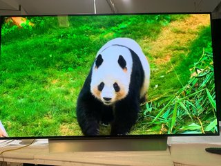 LG OLED 55 TV (OLED55C7)
