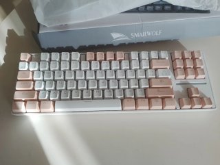 Teclado Mecánico Smailwolf SK16 TKL