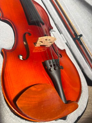 Violín Lark con funda y arco