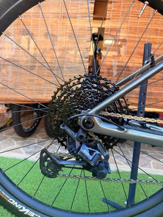 ORBEA ALMA CARBONO 29” XT