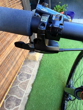 ORBEA ALMA CARBONO 29” XT