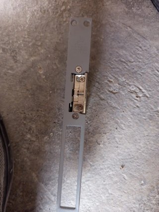Pestillera electrica dorcas