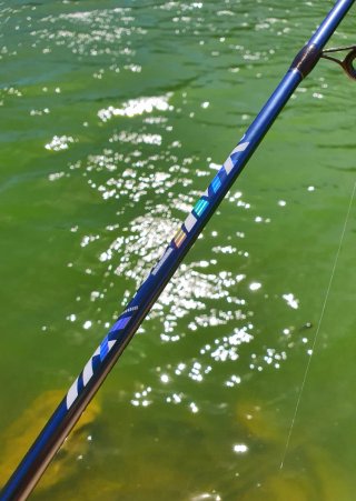 Equipo pesca Trucha, Equipo Spinning o Rockfishing