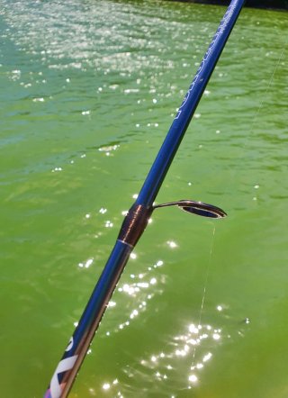 Equipo pesca Trucha, Equipo Spinning o Rockfishing