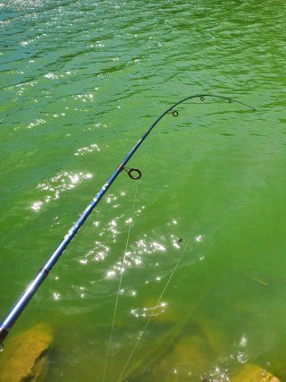 Equipo pesca Trucha, Equipo Spinning o Rockfishing