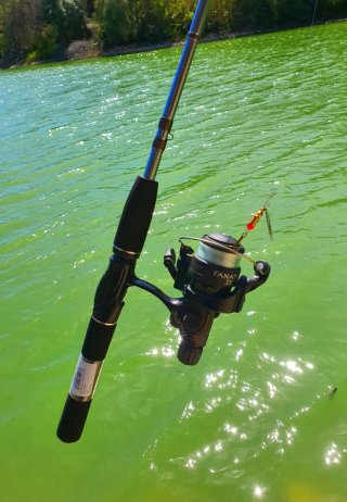 Equipo pesca Trucha, Equipo Spinning o Rockfishing