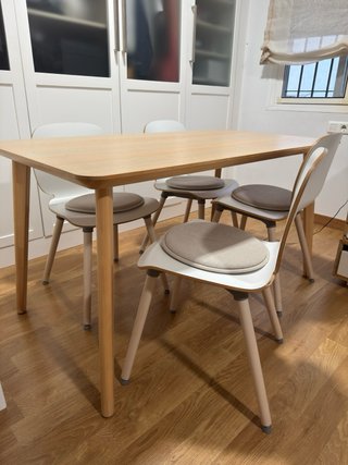 Mesa de comedor con 4 sillas. Cojines de regalo