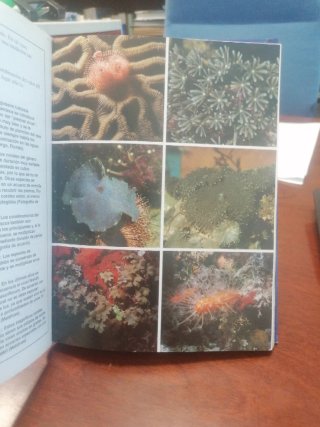 El acuario de agua de mar