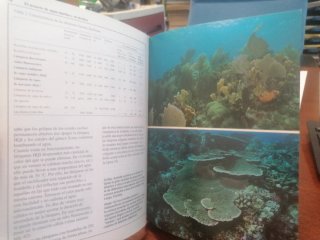 El acuario de agua de mar